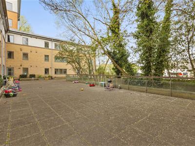Picture 10